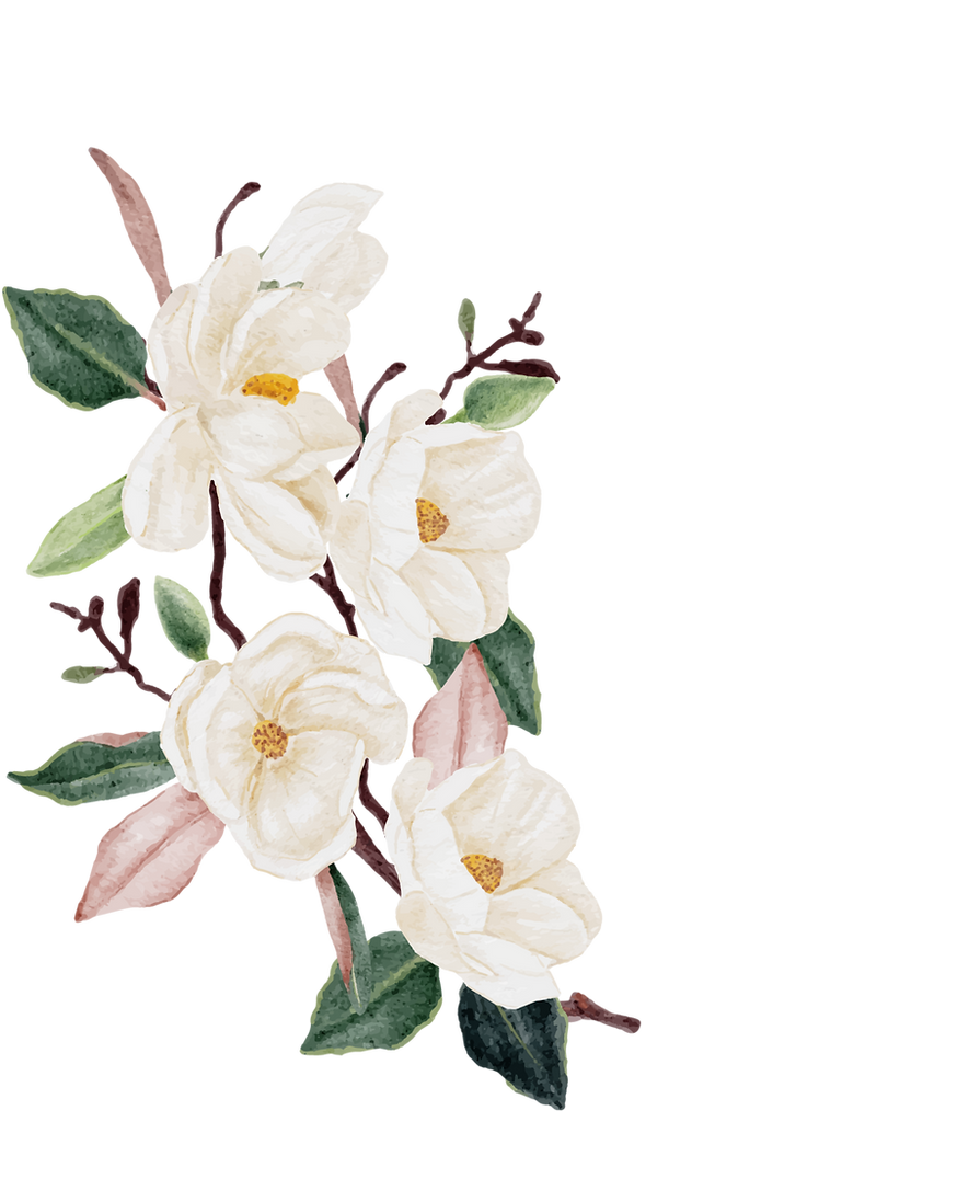 magnolia (1).png