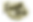 classic logo black and gold.png
