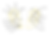 Ear.png
