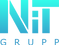 ЛОГО НИТ.png