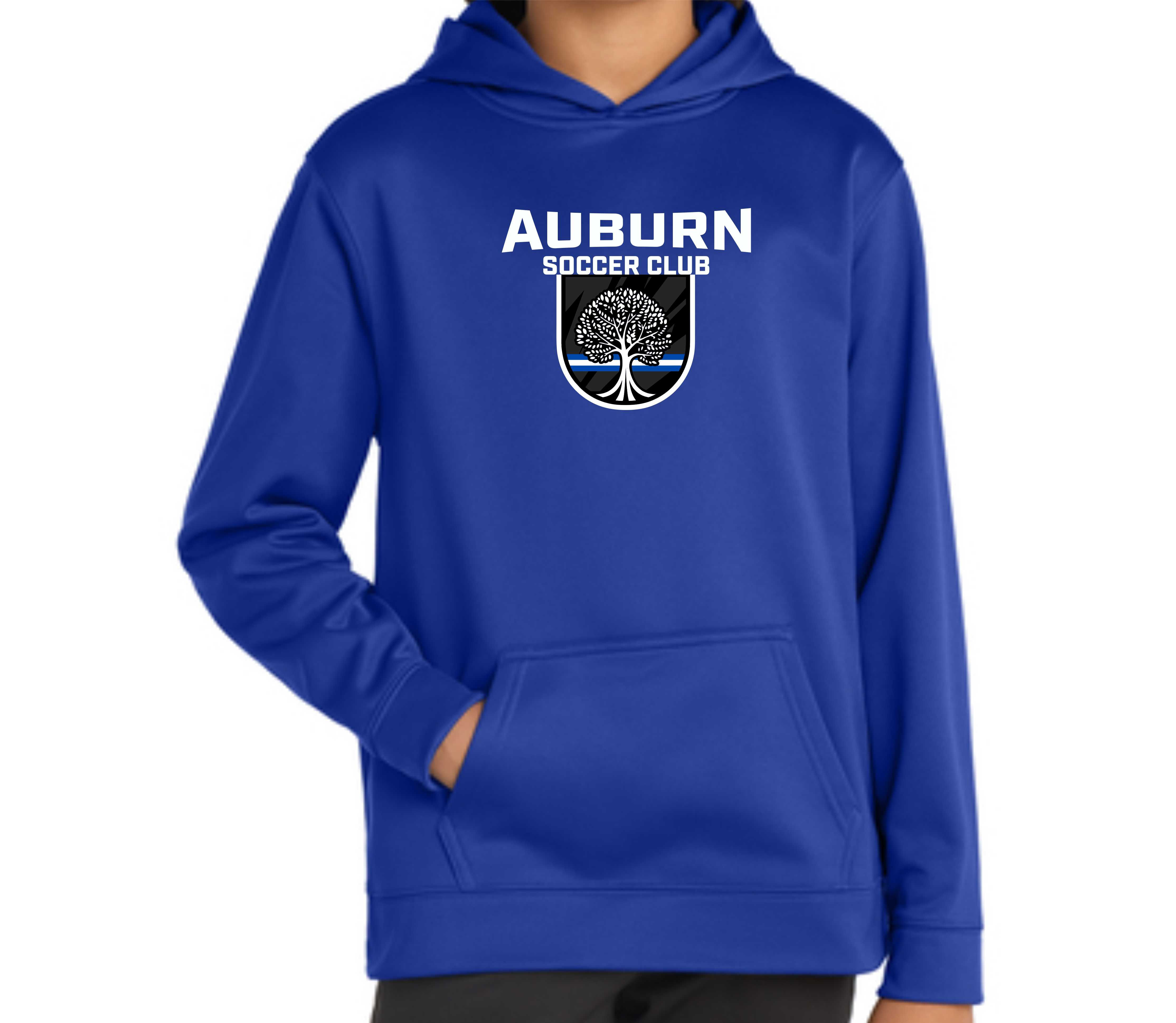 ASC 27 Sport-Tek Dri-fit Youth Hoodie Design 1