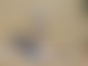 Die besten Dehnübungen für mehr Beweglichkeit