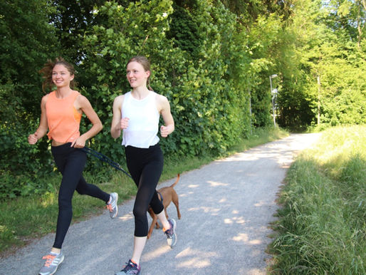 Knieschmerzen nach dem Joggen: Ursachen, Prävention und Behandlung