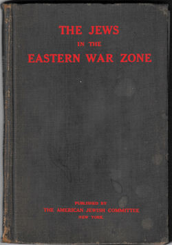 Eastern War Zone.Book