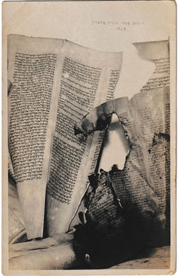 Desecrated Torah