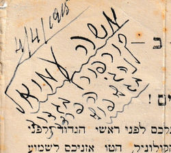 Pergola.Zion Mule Corps