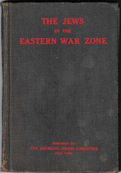 Jews in the Eastern War Zone