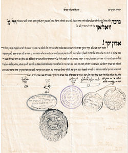 Dr. Wallach.Help Our Clinic