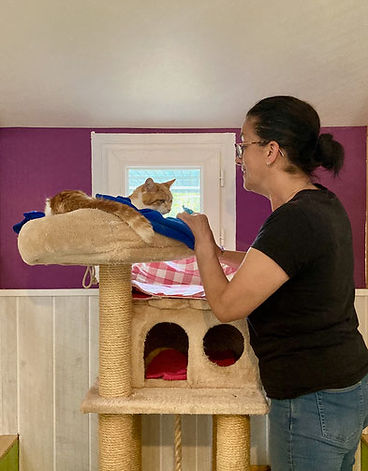Cathie Choplain, la maîtresse des lieux. Attention, tendresse et patience envers les chats.