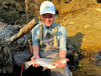 Rainbow Trout in Niseko