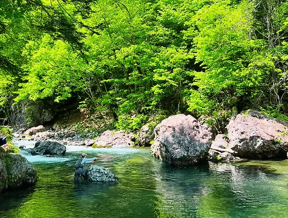 Fly fishing in Sapporo