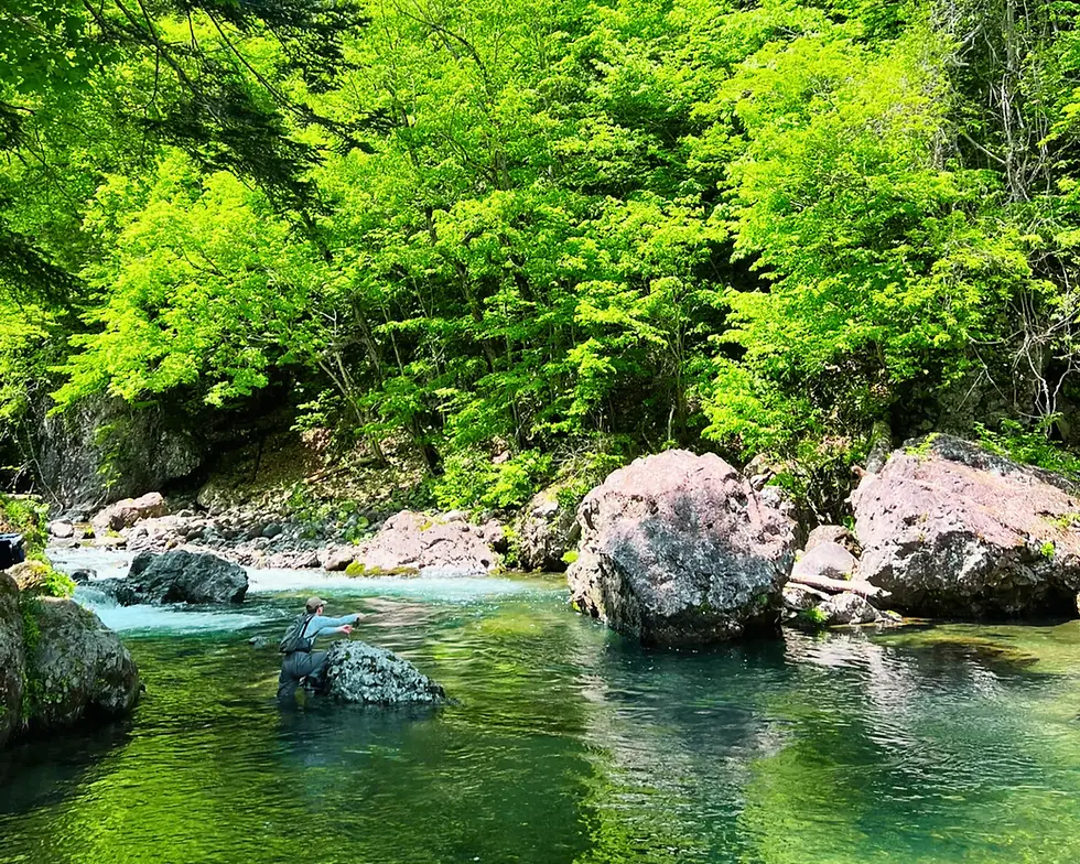 Fly fishing in Hokkaido with Japanese Fishing Adventures