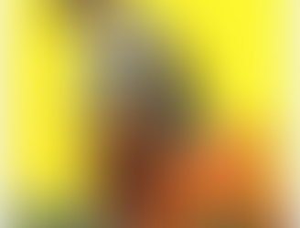 Todays Tarot Reading