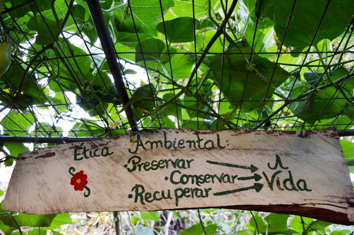 Um lar para ensinar práticas sustentáveis