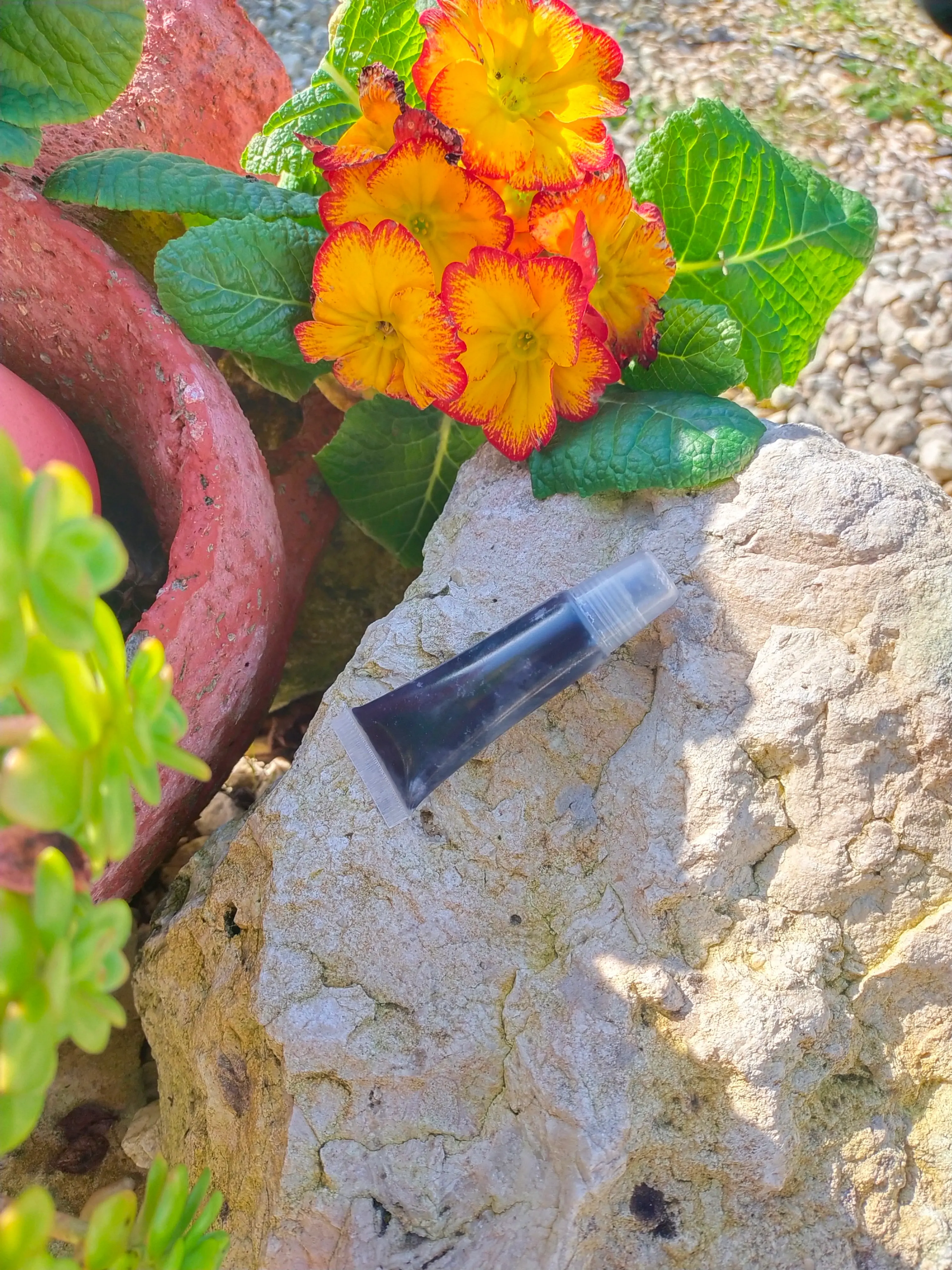 Dentifrice quotidien