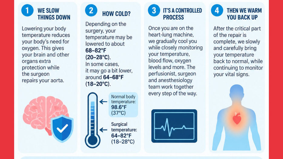 Why Are Our Bodies Cooled During Aortic Surgery?