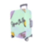 EXY, Luggage Cover, SCP