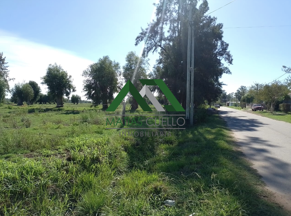 Miniatura: Dos lotes: sobre calle 28 y sobre calle 30