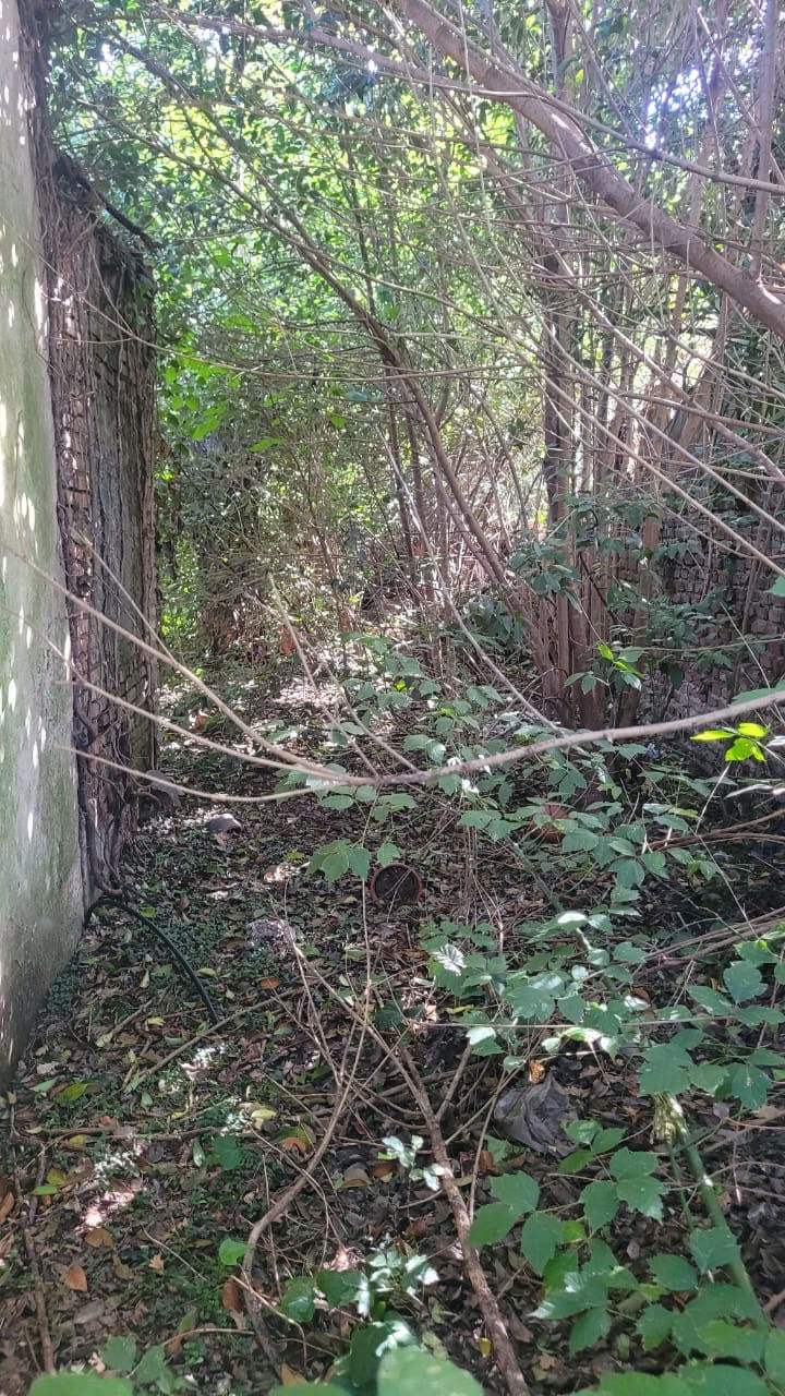 Miniatura: Lote sobre 24 entre 9 y 11