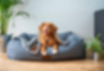 unsplash-s9Tf1eBDFqw_edited.jpg