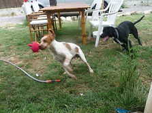 11659506_128983360767512_410123233168658