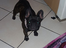 11392905_129639924035189_123141964039268