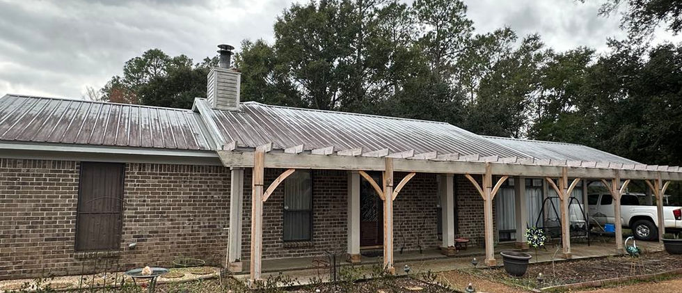 Before Roof Cleaning