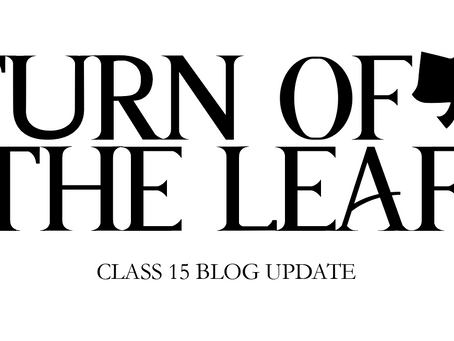 class 15 self evaluation