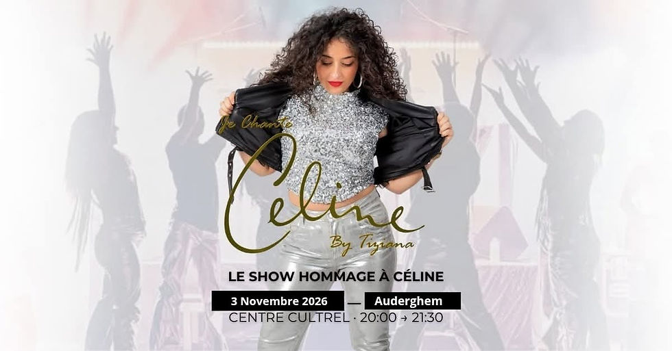 Show centre culturel d'Auderghem