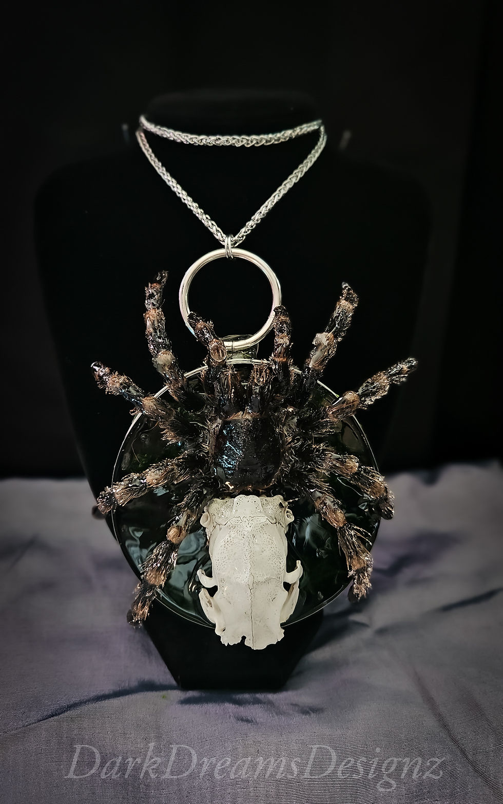 Thumbnail: Spiders Adornment