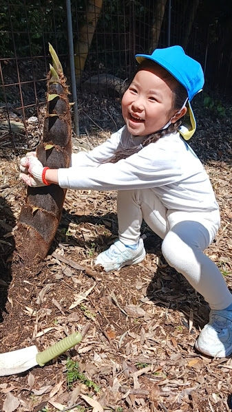 🌸春の豊かな体験🌸