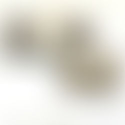 ゴールド系パイソン財布