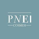 pnei_logo-RGB.jpeg