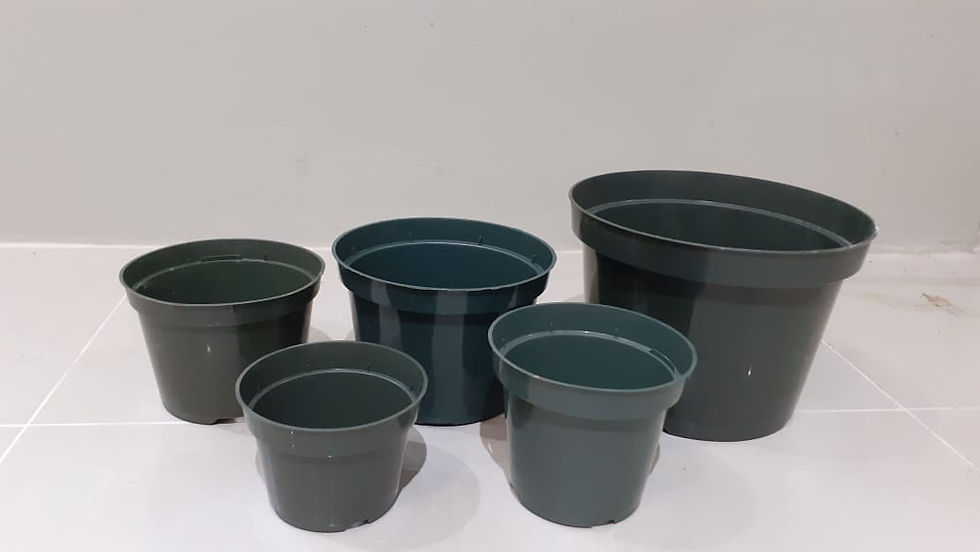 Thumbnail: 6" Dillen Plastic Nursery Pots