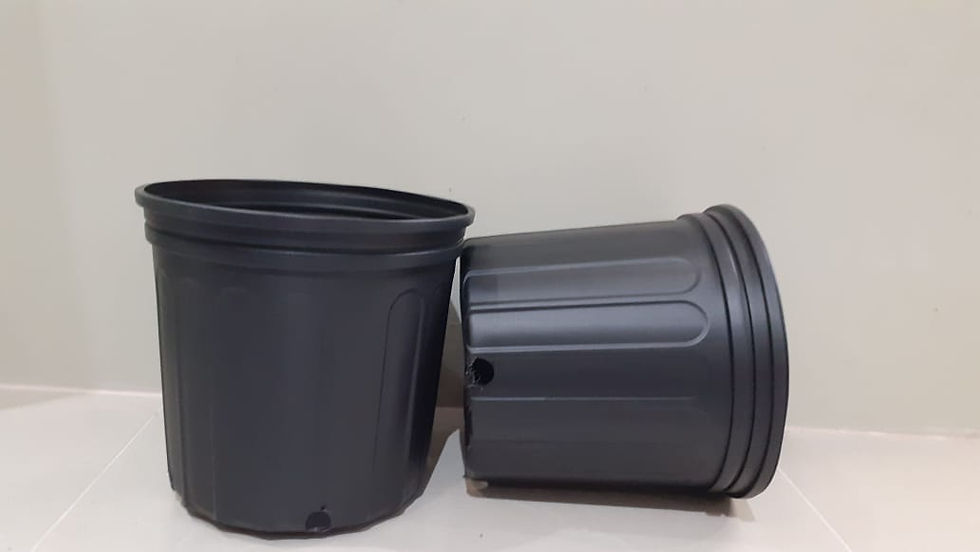 Thumbnail: 14" Nursery Pots