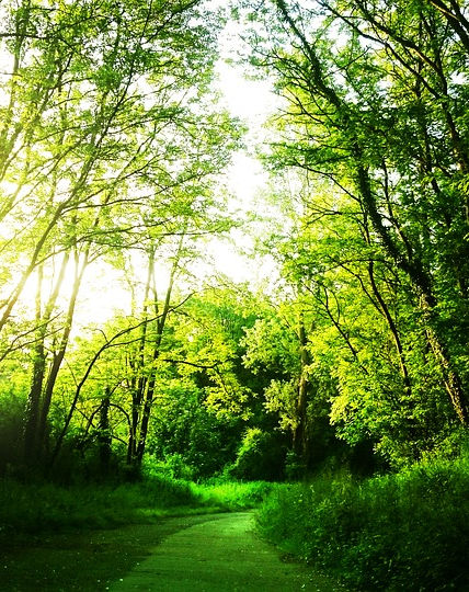 landscape-1442324_960_720.jpg