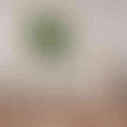 Rustic Moss wall art by Ninfa Studio - Ancient Roots