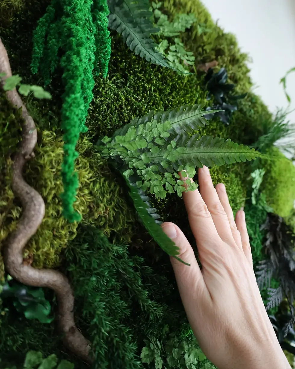 Thumbnail: Woodland Sanctuary - Round Moss Art