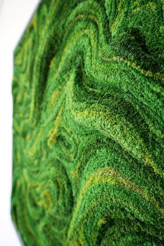 Preserved amaranth sculptural artwork detail by paola di legge