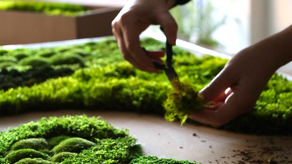 Work in progress of Ninfa Studio's Moss Art
