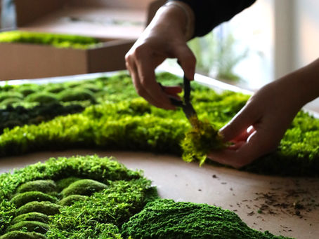 hands of moss artist manipulating moss scultpure