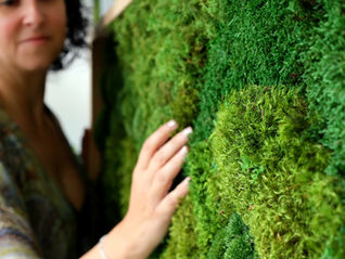a hand touching the soft texture of moss art