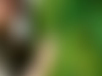 a hand touching the soft texture of moss art