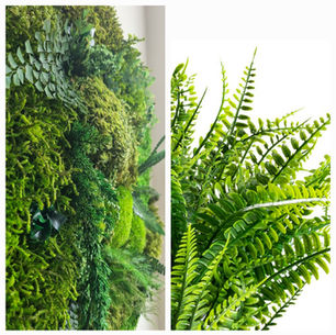 You Won't Believe the Difference Between Faux and Preserved Plants