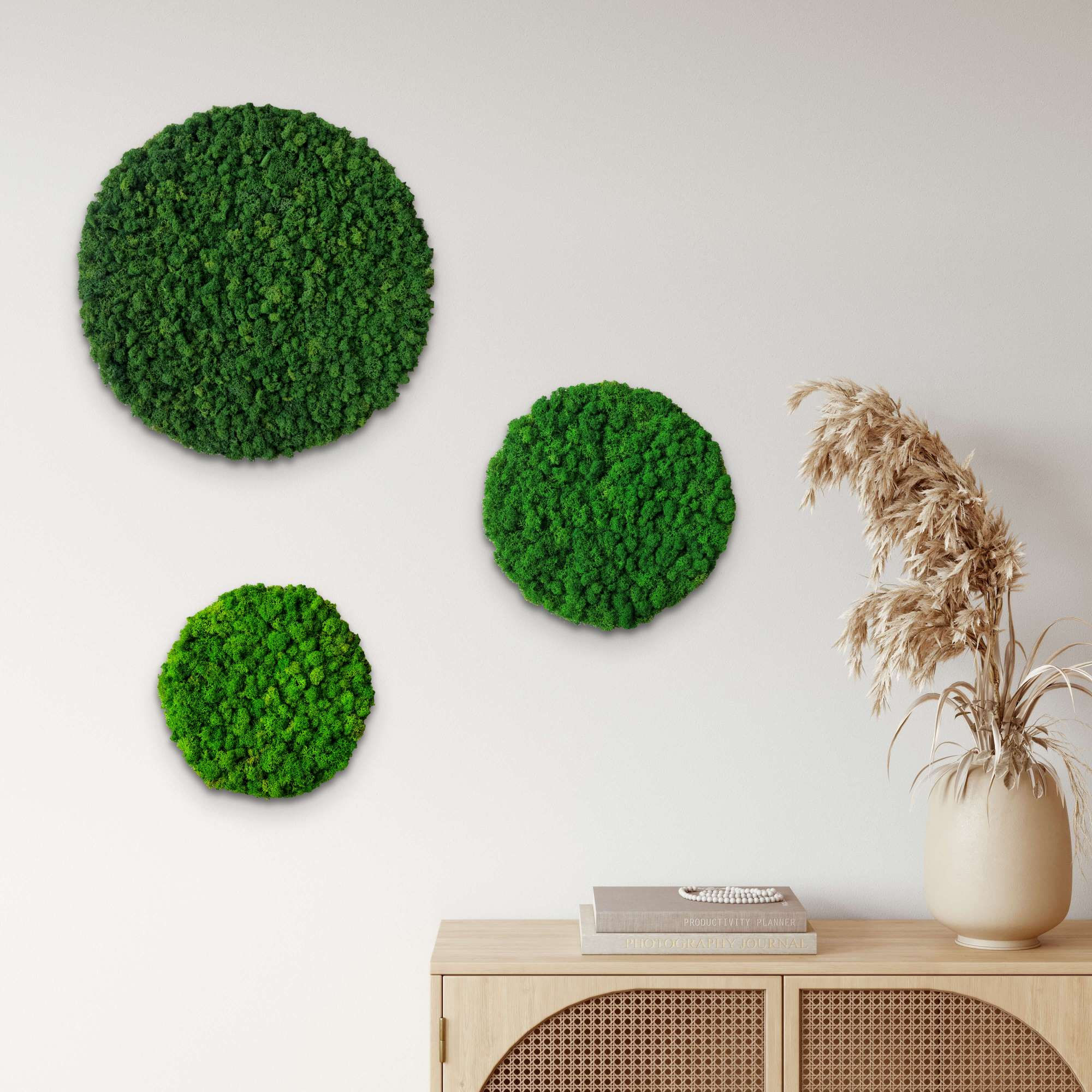 Reindeer moss circles