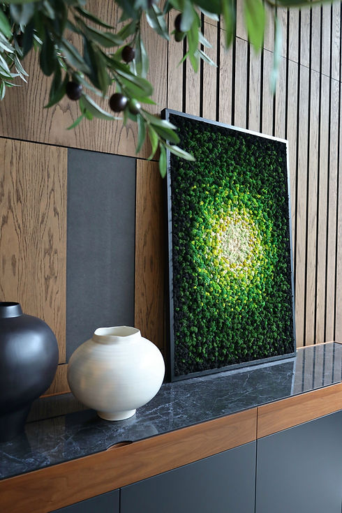 Gaia moss wall art in designer furniture shop.JPG