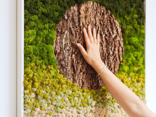 Tactile Wisdom: Why We Need to Touch the Earth