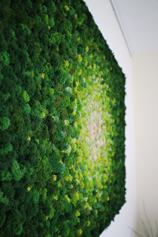 detail of reindeer moss art by paola di legge