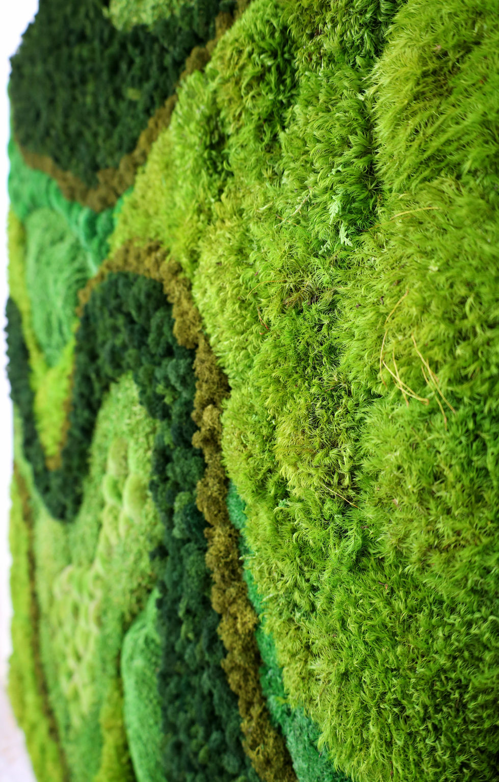 detail of preserved moss artwork
