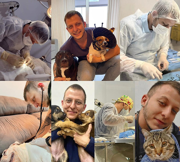 Serviços Veterinários